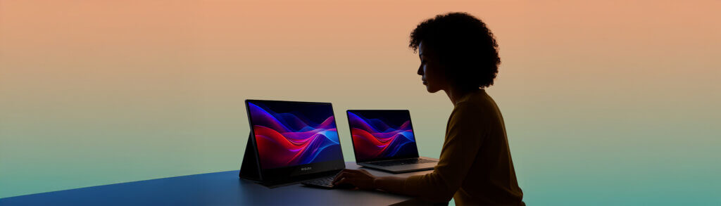Single Monitory